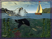 Orca.jpg (123710 bytes)