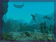Sealife.jpg (87458 bytes)