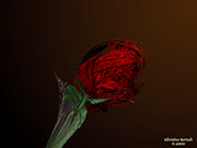 Rose.jpg (64643 bytes)