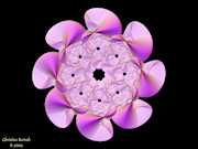 Soft Petals.jpg (84871 bytes)